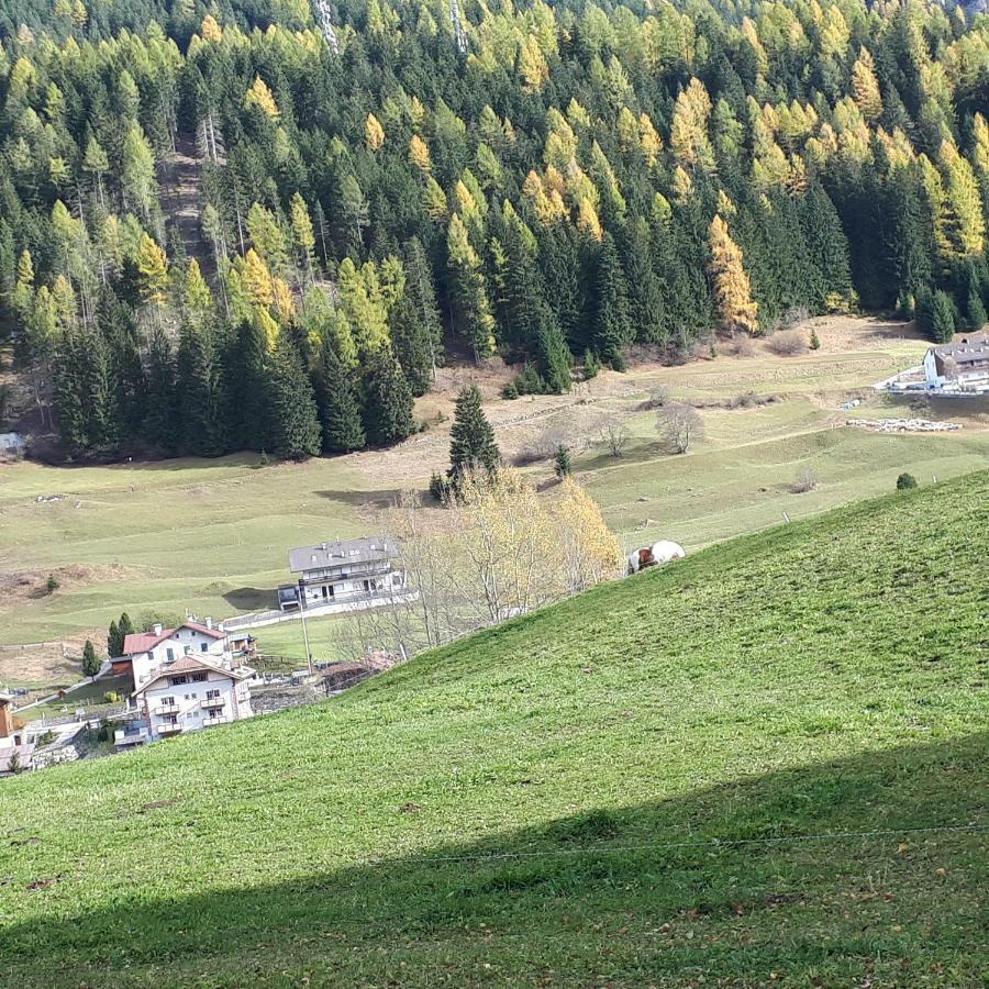 Casa Con Vista A Moena Lägenhet Exteriör bild